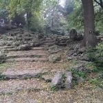 Varna - park - Vlk na cestách
