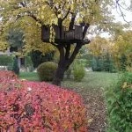 Varna - park - Vlk na cestách