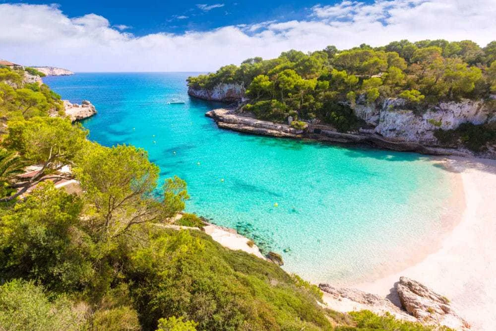 Mallorca - Vlk na Cestách