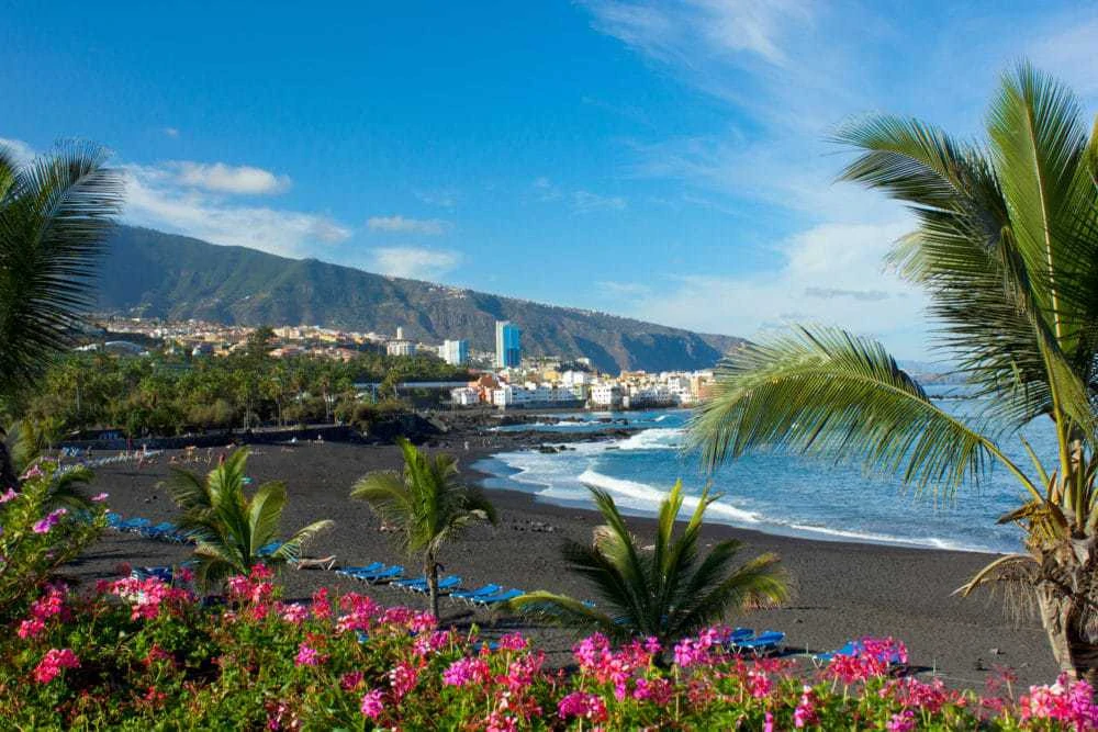 Tenerife s dětmi - Vlk na cestách