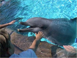 Zoo Norimberk
