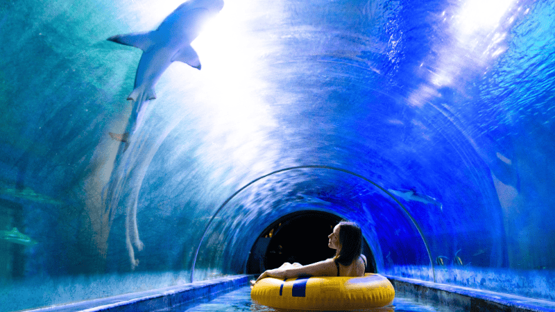 Aquapark reda