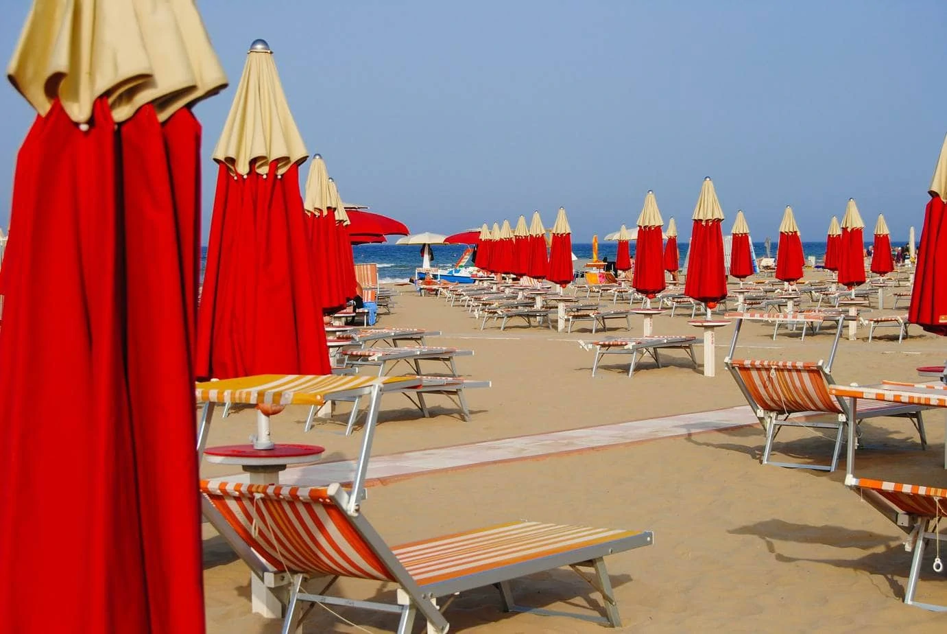 Rimini - Vlk na cestách