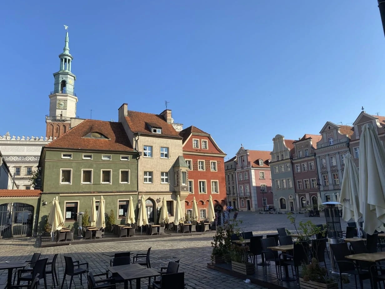 Poznaň - Vlk na cestách