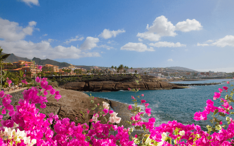 s dětmi na Tenerife