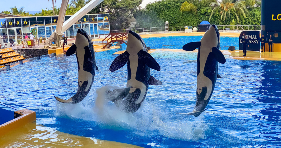 loro park