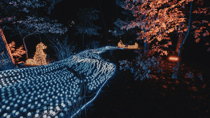 Lumina Park Wrocław - Světelné Parky Wroclaw