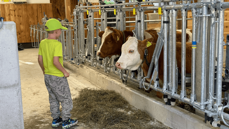kravín ubytování na farmě v Rakousku